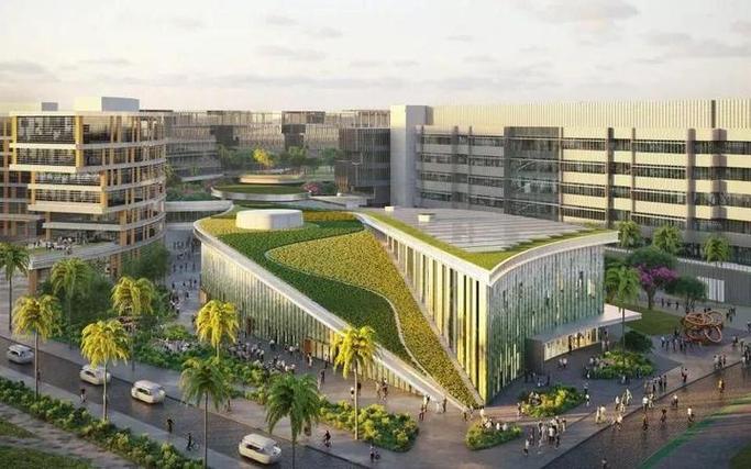 海外留学担忧全解析 从焦虑到从容的应对指南